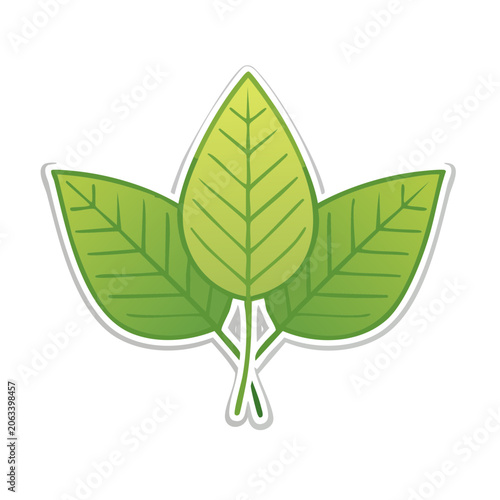 Flat design green leaf vector isolated