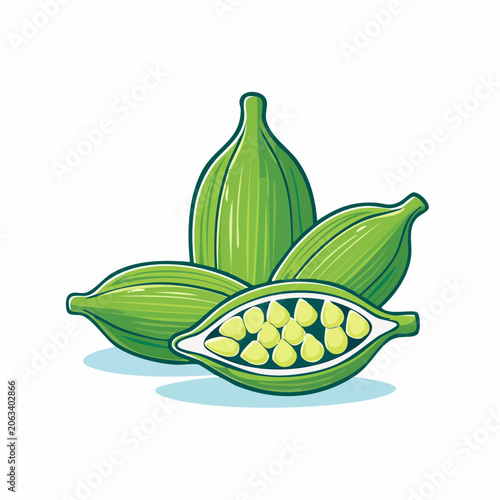 Green Cardamom Pods Illustration