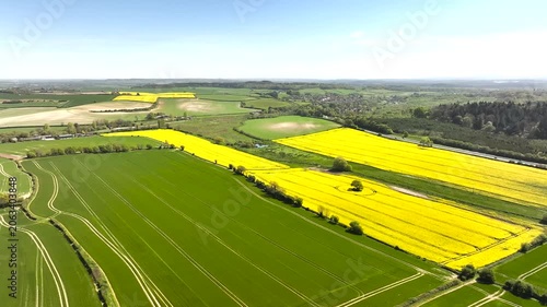 Rapeseed fields and Farms over Bere Regis from a drone, Dorset, England