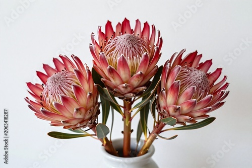 A bunch of red flowers sitting on top of a table
