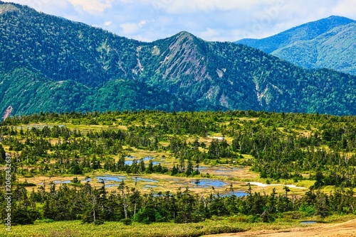 Bild auf Leinwand 苗場山の高層湿原