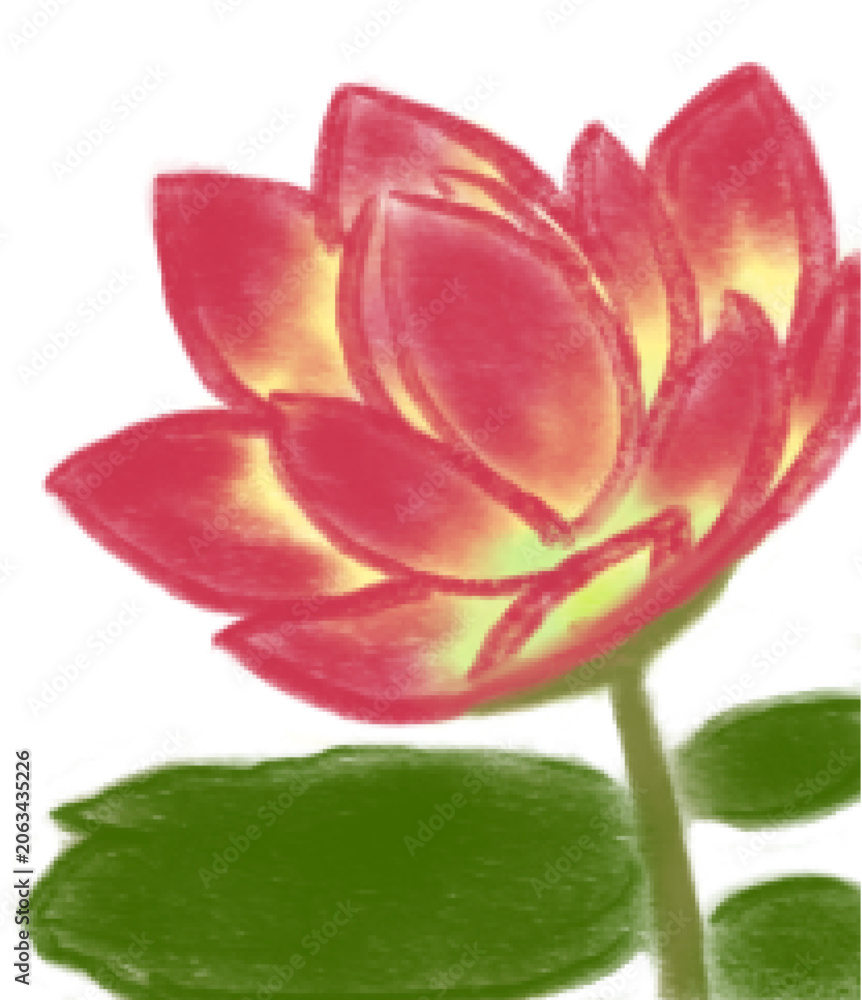 Fototapeta premium pink lotus flower