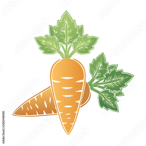 Flat design carrot with green leaves
