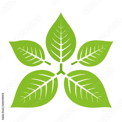 Flat design maple leaf vector icon
