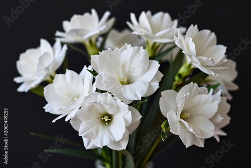 A bunch of white flowers sitting on top of a table