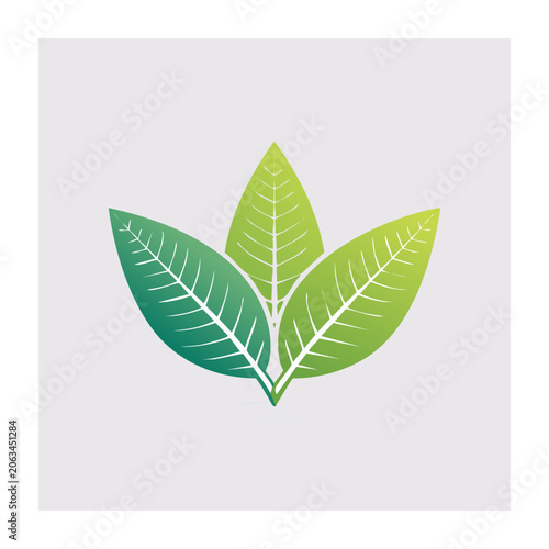 Green flat design leaf vector icon