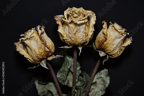 A bunch of white roses sitting on top of a table_3