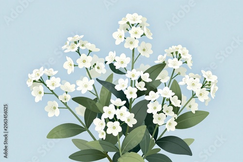 A bunch of white flowers with green leaves