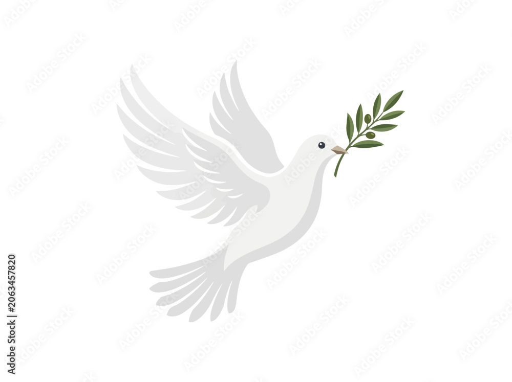 Fototapeta premium A white dove flying while holding an olive branch in its beak.