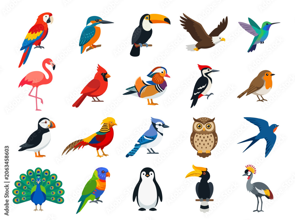 Fototapeta premium A collection of various colorful bird species illustrated in a flat vector style.
