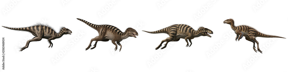 Naklejka premium Four running theropod dinosaurs isolated on a black background