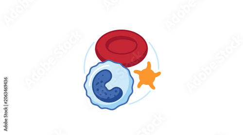 Bild auf Leinwand Medical illustration of blood cells: red blood cell, white blood cell, platelet