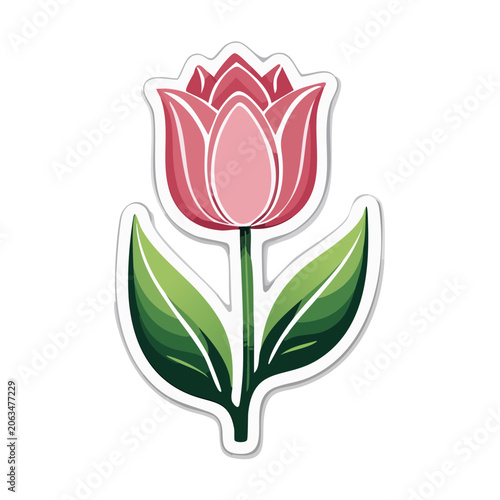 Flat design vector tulip with leaf and stem