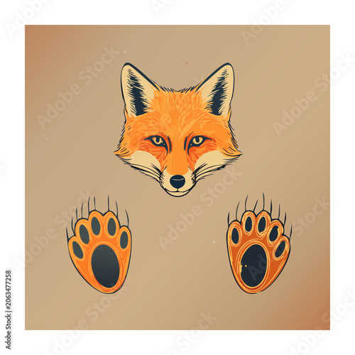Fox Face and Paw Prints Illustration