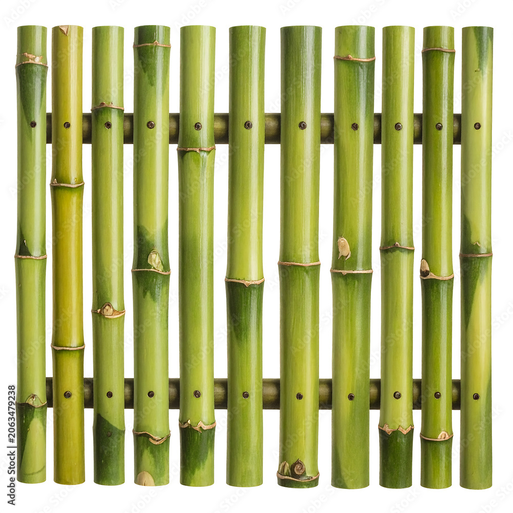 Obraz premium Bamboo fence panel isolated on transparent background, realistic bamboo poles, landscaping material