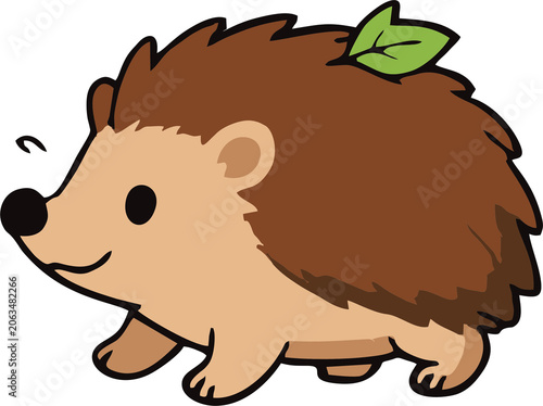 hedgehog and leaf