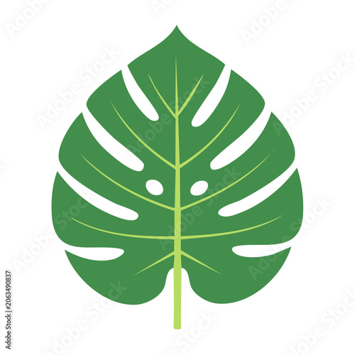 Flat design maple leaf vector
