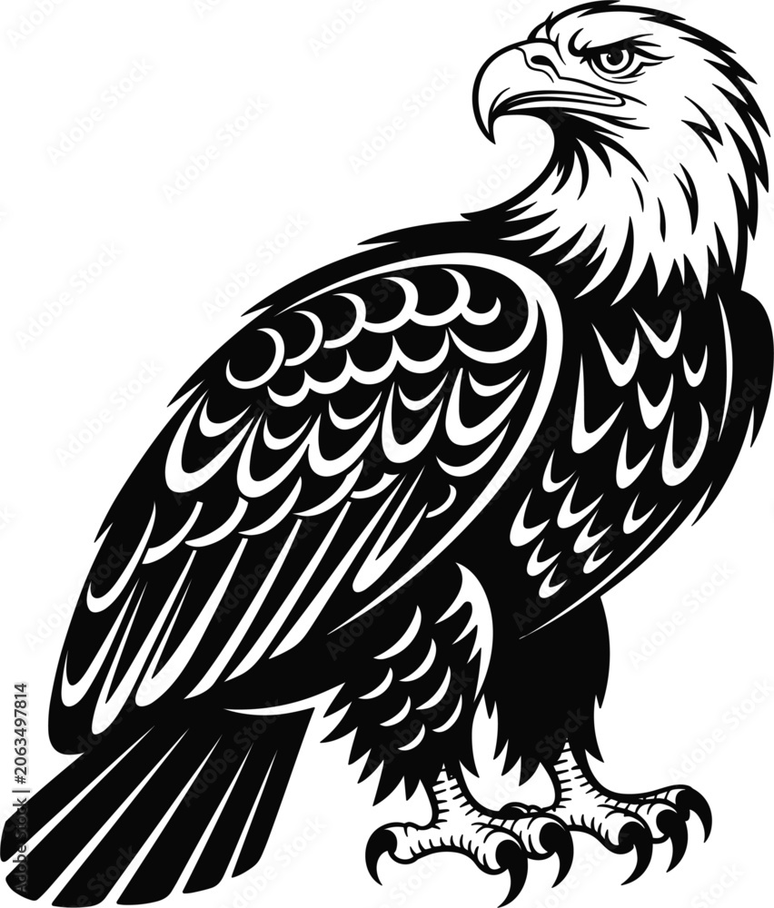 Fototapeta premium Bald Eagle in dynamic flight with sharp talons extended against a white background symbolizing freedom and power