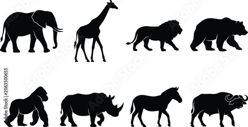 Photography Wild animals vector silhouette icon set for safari nature conservation and educa