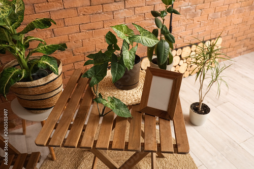 Blank frame with plant on w...
