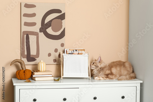 Cute Maine Coon cat lying o...