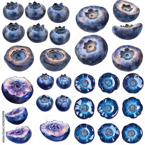 Detailed Collection of Blueberries in Various Angles and Cross-Sections