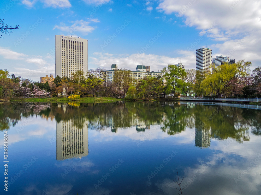 Fototapeta premium 【北海道】札幌市・中島公園の初夏