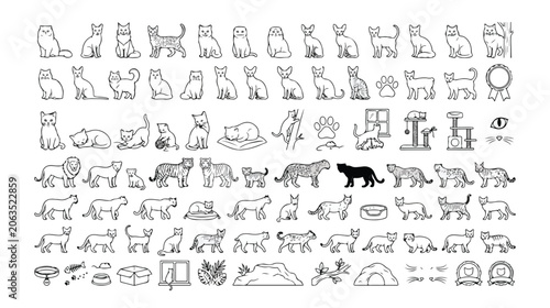 Photos 猫のイラストレーション、様々なポーズと品種の猫のベクターアイコンセット、ペットショップや動物関連デザインに最適な手描き風ラインアートコレクション