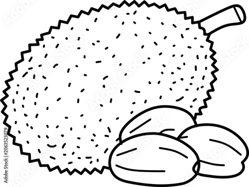 Simple jackfruit fruit line art vector illustration featuring whole and cut jackfruit. Perfect for coloring books, educational materials, tropical fruit themes, and printable projects.