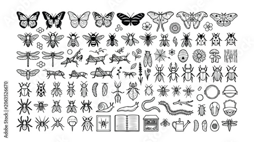 Fotografía Insect and Bug Icon Set, detailed entomology collection, black and white vector graphics, nature study and science education resources, 100+ outline illustrations