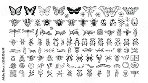 Insect and Bug Vector Icon Set, detailed black and white entomology collection, nature and wildlife illustration, scientific animal graphics for educational design