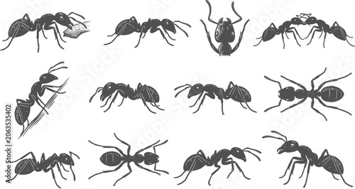 Foto Black ant silhouettes and sketches depicting realistic crawling and interacting