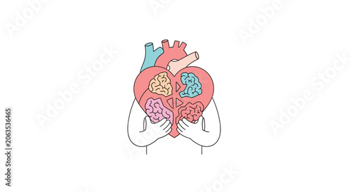 Stylized heart diagram with blue vessel and pink organs