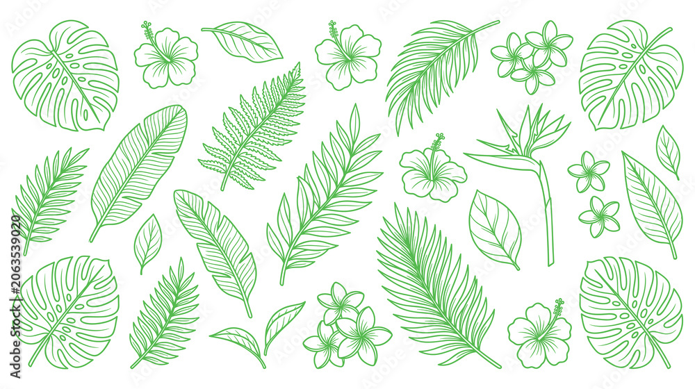 Naklejka premium Set of tropical jungle leaves and exotic flowers in green line art style design elements.
