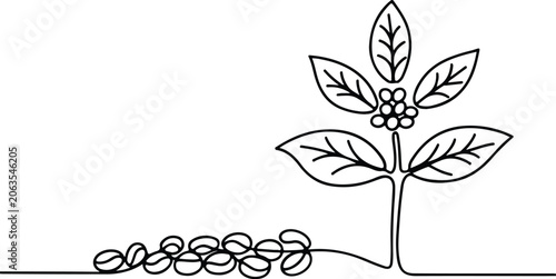Black line drawing of a coffee plant with beans