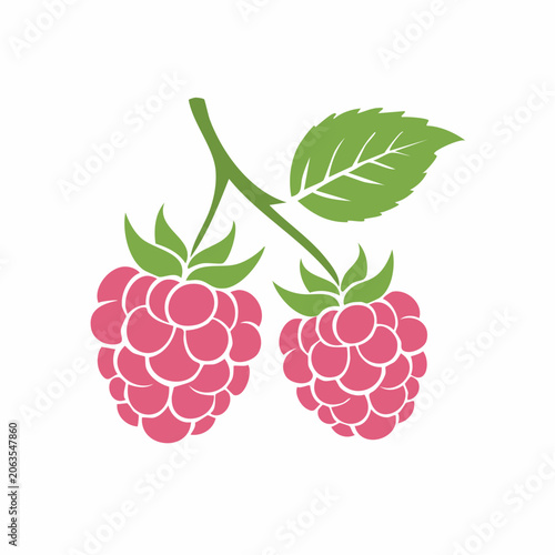 Stylized illustration of two raspberries on a branch with a leaf