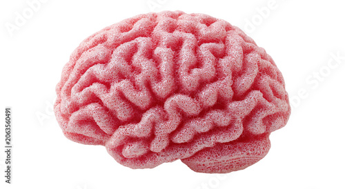 Conceptual image of a large stone in the shape of the human brain