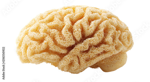 Conceptual image of a large stone in the shape of the human brain