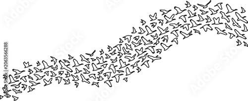 Photos Flock of Flying Birds Vector Illustration