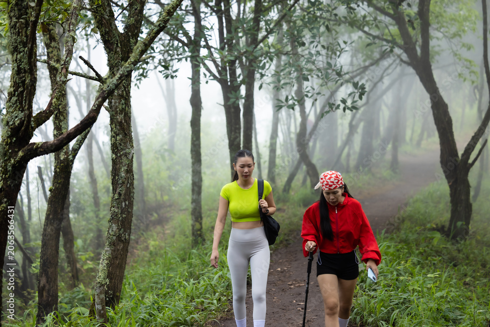 Obraz premium Woman hiking in rainforest. She loves hiking on nature trail. Enjoy adventure hiking in jungle.