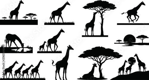 Canvas Print Black silhouettes of giraffes in various natural African savannah landscapes wit