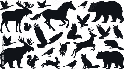 Photography Black silhouettes of various wild animals and birds on white background