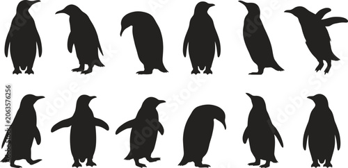 Schilderij op canvas Collection of penguin silhouettes in various poses on white background