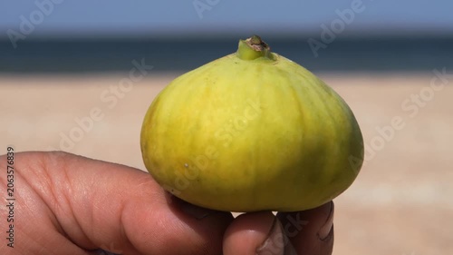 Figs in the hands of a man broken into two parts against the background of the sea. Live a healthy life. Be H3althy