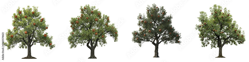 Fototapeta premium Set of four isolated fruit trees with green leaves and ripe fruit on black