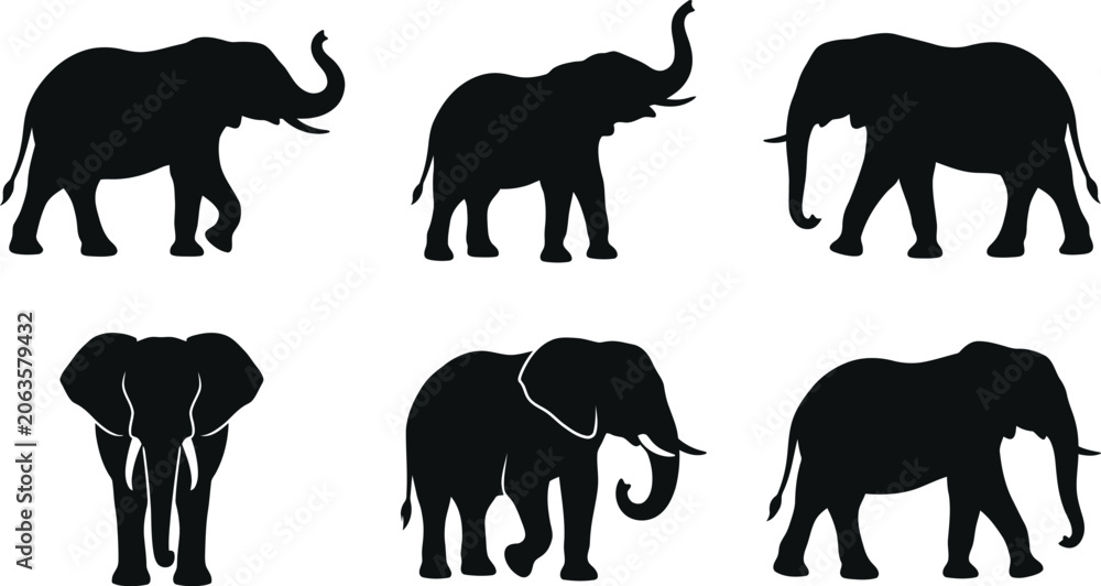 Obraz premium Six black elephant silhouettes in different poses on white background