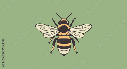Tableau sur toile Honey bee with detailed wings in top view