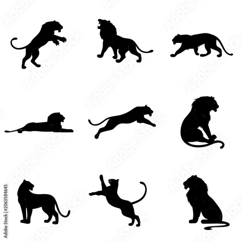 9 Big Cats Silhouettes Set Isolated on White Background Vector