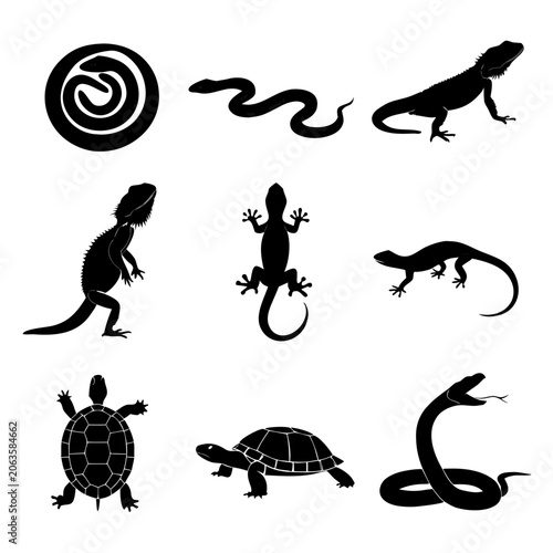 Set of 9 Pet Reptile Vector Silhouettes Featuring Lizards Snakes and Turtles
