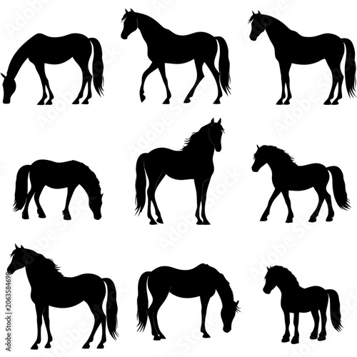 Set of 9 Equestrian Horse and Pony Vector Silhouettes in Calm Poses